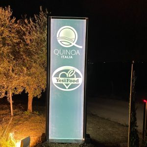 insegna luminosa Quinoa italia jesi food